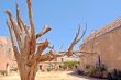 Monastery Arkadi