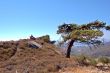 Crete