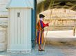 Swiss guard