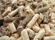 wood pellets close-up