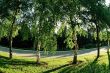 A walk around the park.