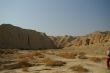 arava desert - dead landscape, background