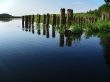 piles of the old bridge