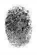 Hi Res Thumbprint