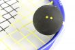 Squash Ball on Racket