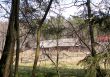 House in the forest