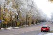 Winter came to town