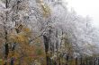 Winter came to town