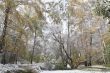 Winter came to town
