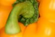 one orange sweet pepper