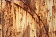Rusty