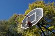 Basketball Dunk