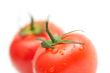 Tomatos