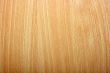 Wood Texture