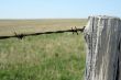 Old wooden post and barbed wire