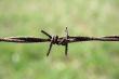 Closeup of rusty barbed wire