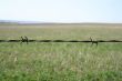 Rusty barbed wire fence detail