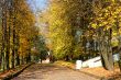 Autumn alley