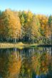Autumnal lake