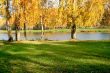 Autumn scene