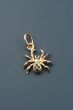 Jewelry spider