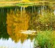 Autumnal lake