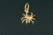 Jewelry spider