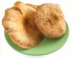 Fungus