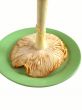 Red mushroom on plate