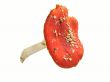 Red mushroom