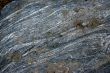 Lichen & moss on striated boulder