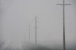 Telephone poles on road to nowhere