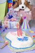 Birthday Party