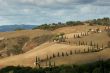 Road in Tuscany