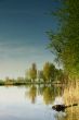 Bright summer day