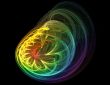 abstract sea creature