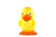 Duck toy