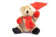 Santa Teddy Bear