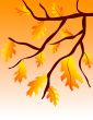 Autumn leaves