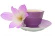 The lilac flower and cup from coffee are isolated
