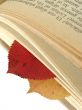 autumnal bookmarks