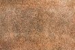 genuine leather