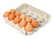 ten eggs in a box