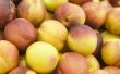 Peaches