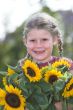 Sunflower girl
