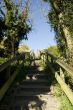 endless staircase