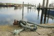 harbor