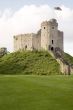 cardiff castle