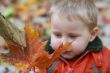 young boy in autumn