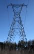 Huge electricity pylon in the forest